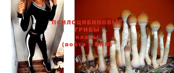 дмт Инсар