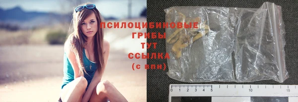 мдпв Инта