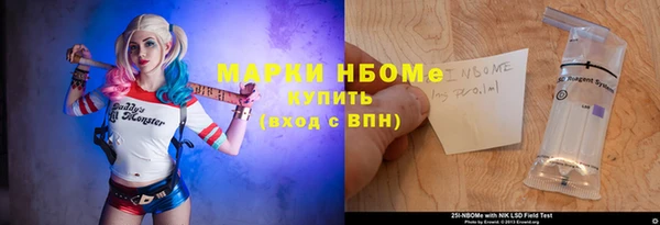дмт Инсар