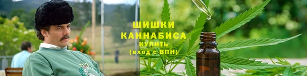 дмт Инсар