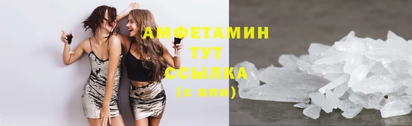 мдпв Инта