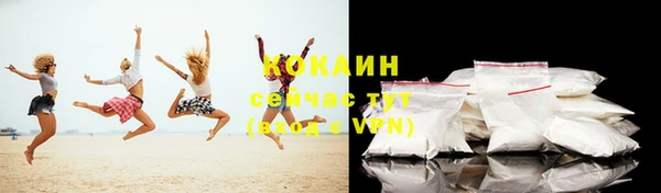 дмт Инсар