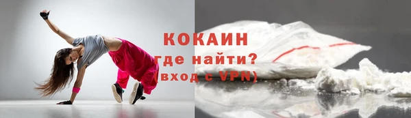 мдпв Инта
