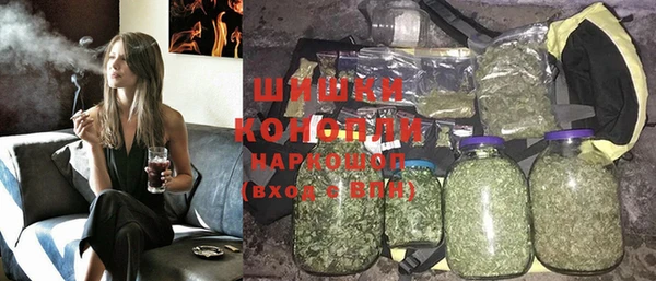 мдпв Инта