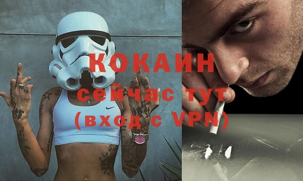 мдпв Инта