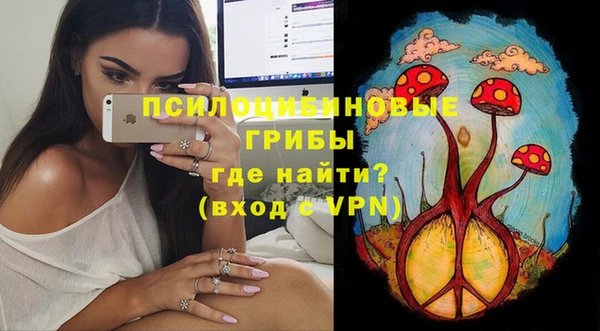 дмт Инсар