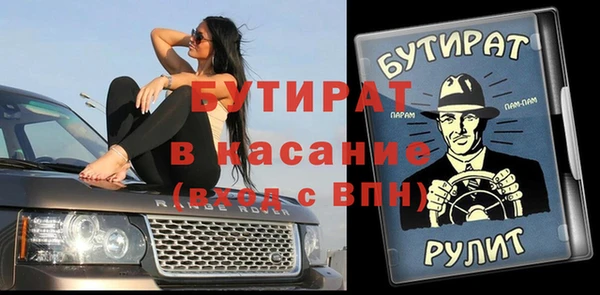 дмт Инсар