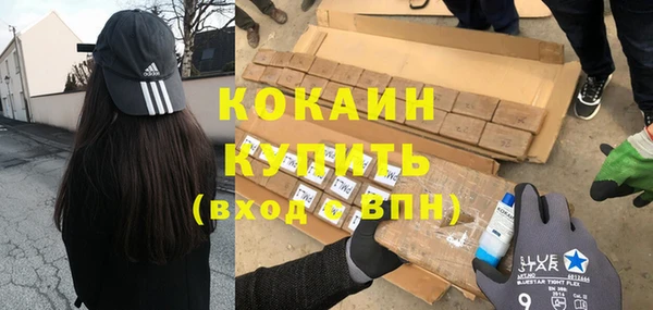 дмт Инсар