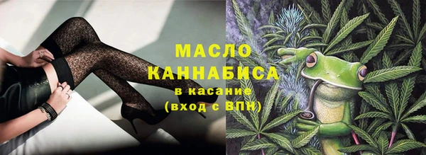 дмт Инсар