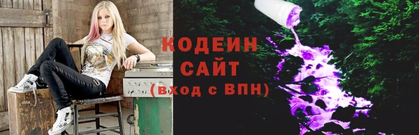 мдпв Инта