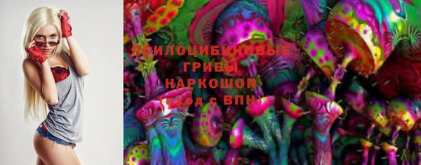 мдпв Инта