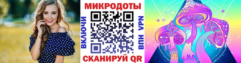 Купить где  Безенчук  Псилоцибиновые грибы Magic Shrooms 
